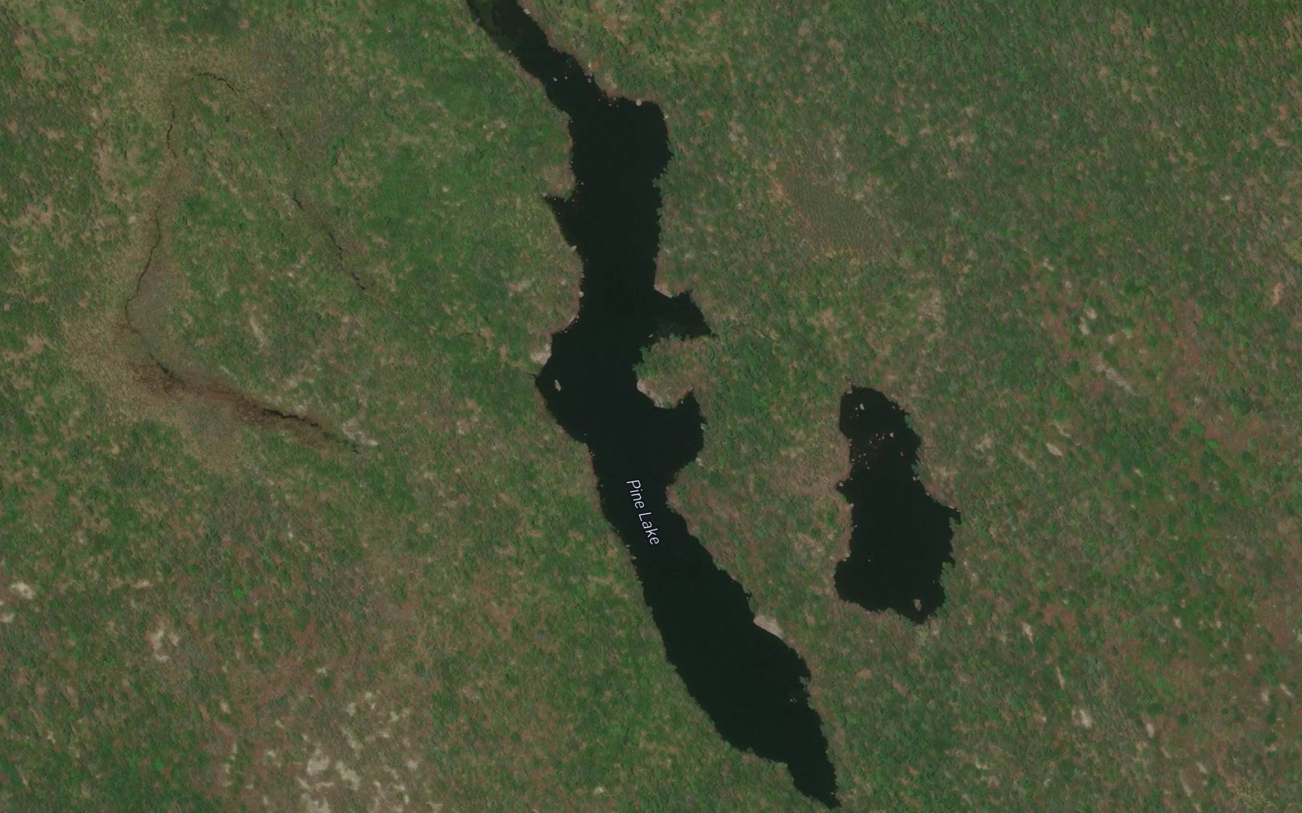 Pine Lake