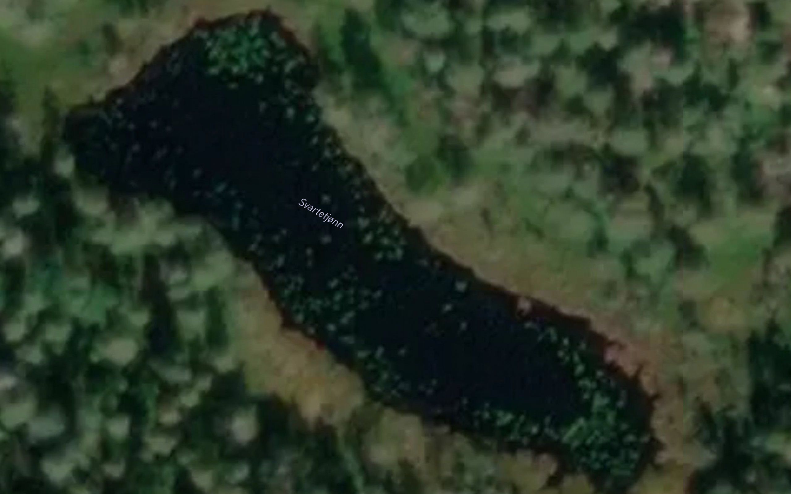 Svartetjonn