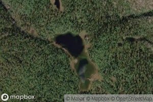 Pahaskurralaadus