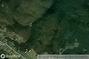 Izvor Ogasu din Padure