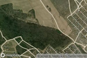 Pad' Muskurennaya