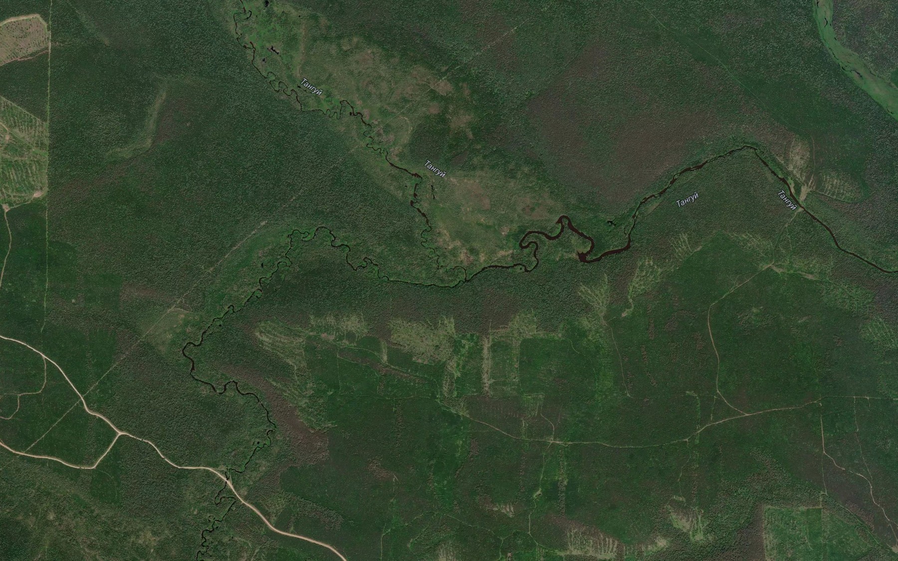 Satellite map of the Tareya