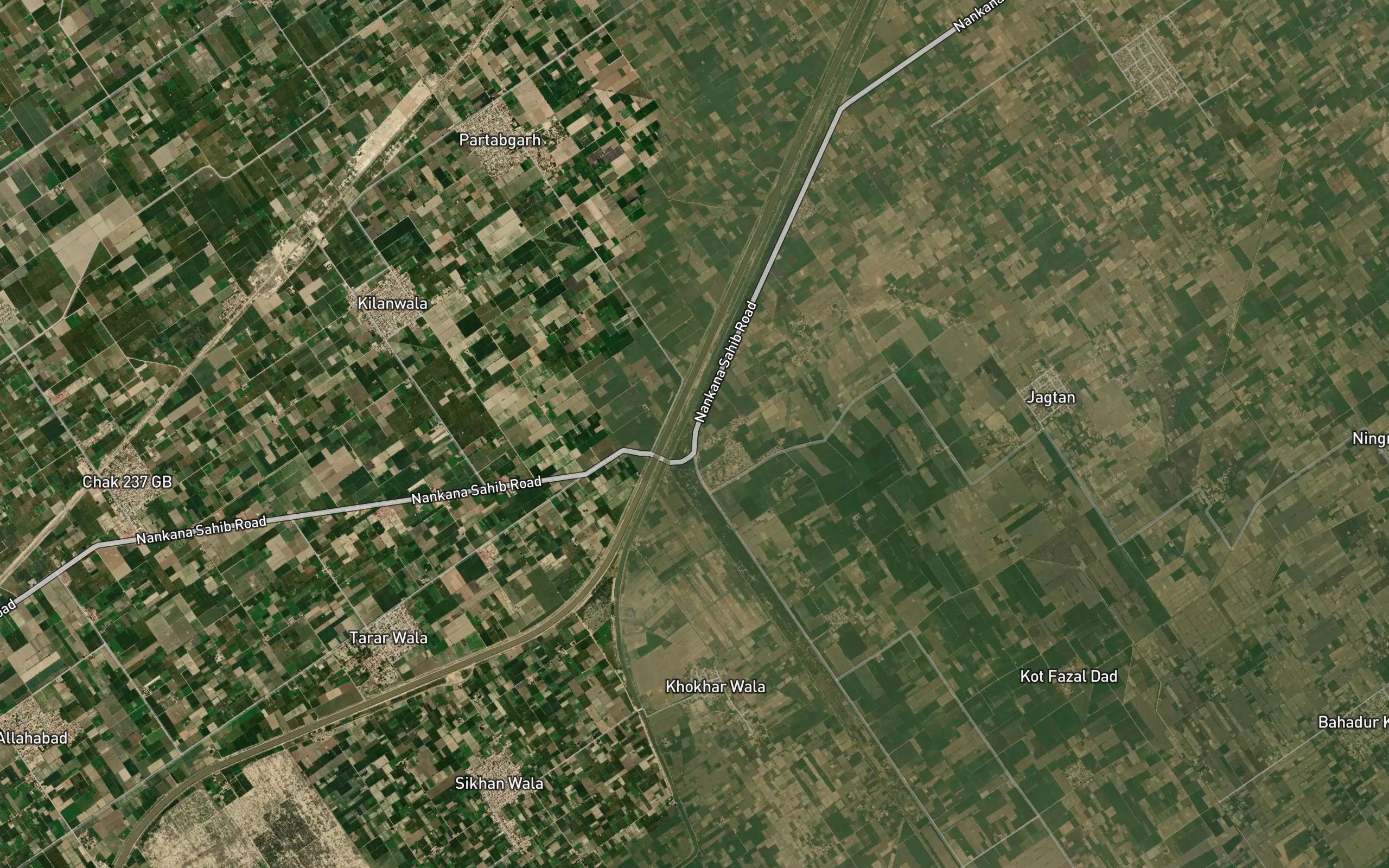 Buchiana Distributary