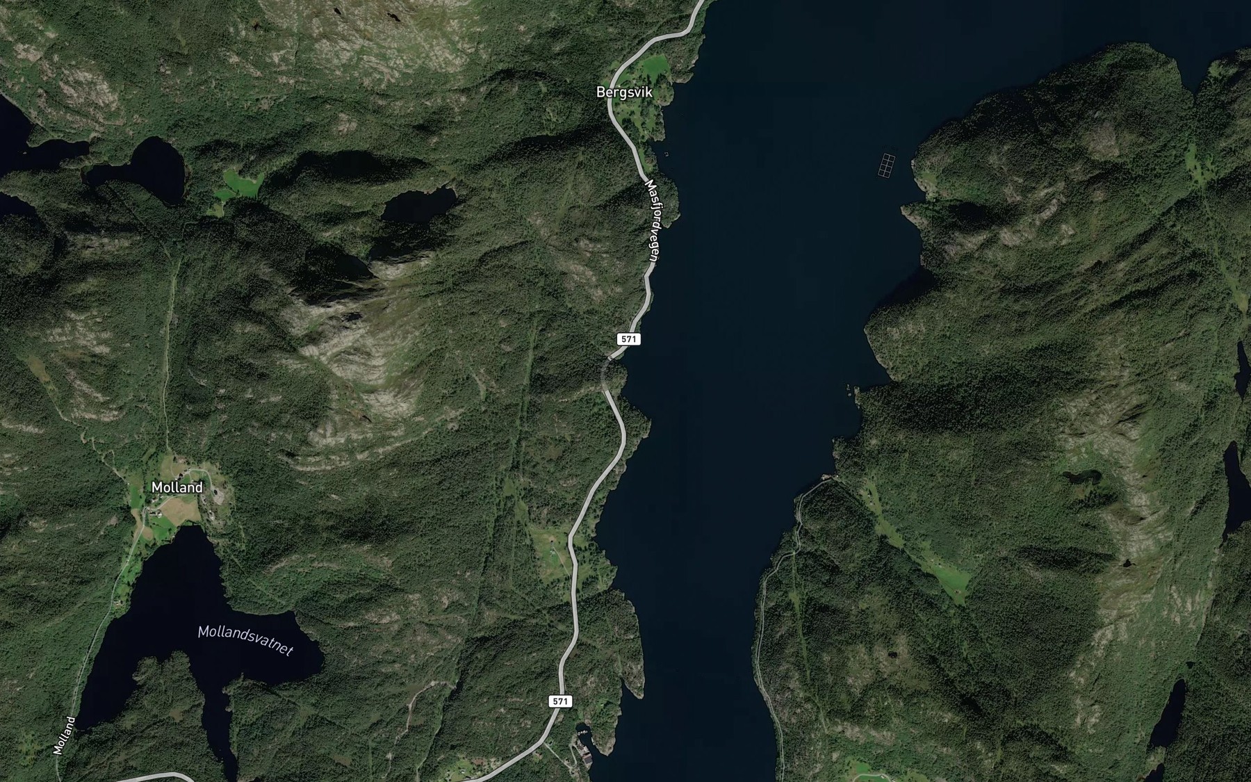 Satellite map of the Nesviki
