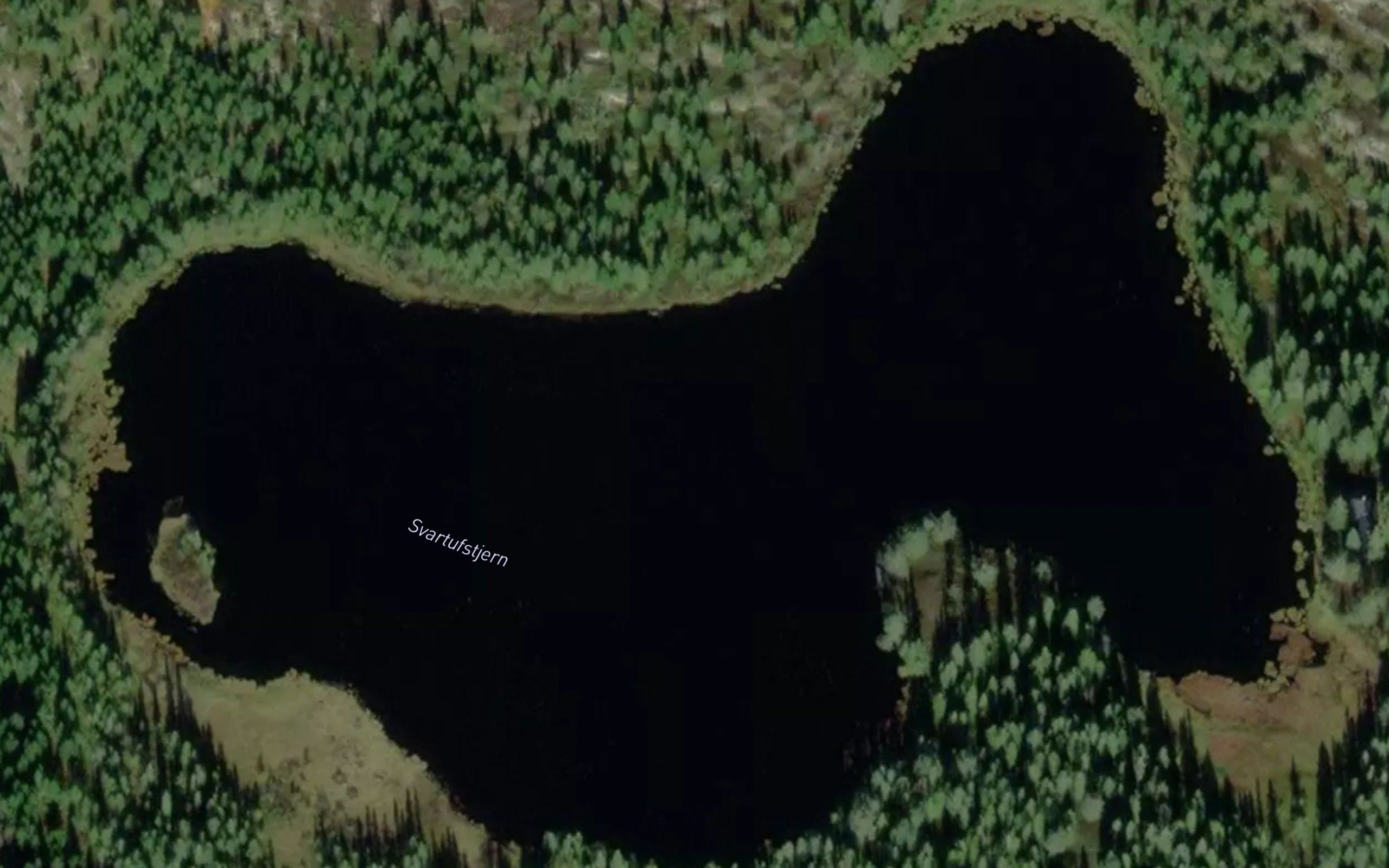 Svartufstjern