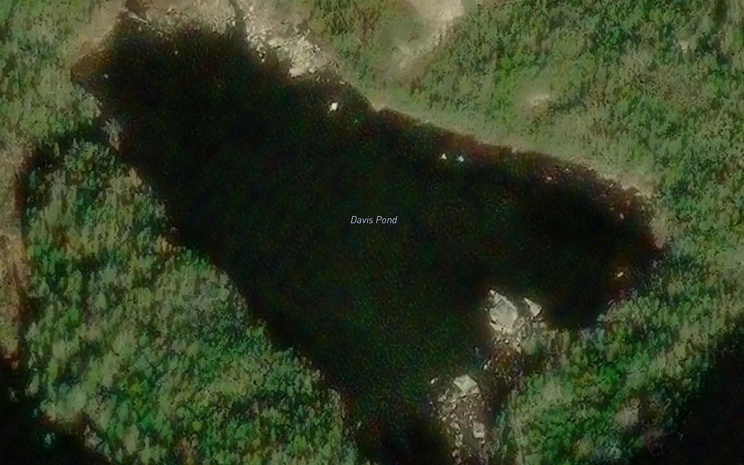 Davis Pond