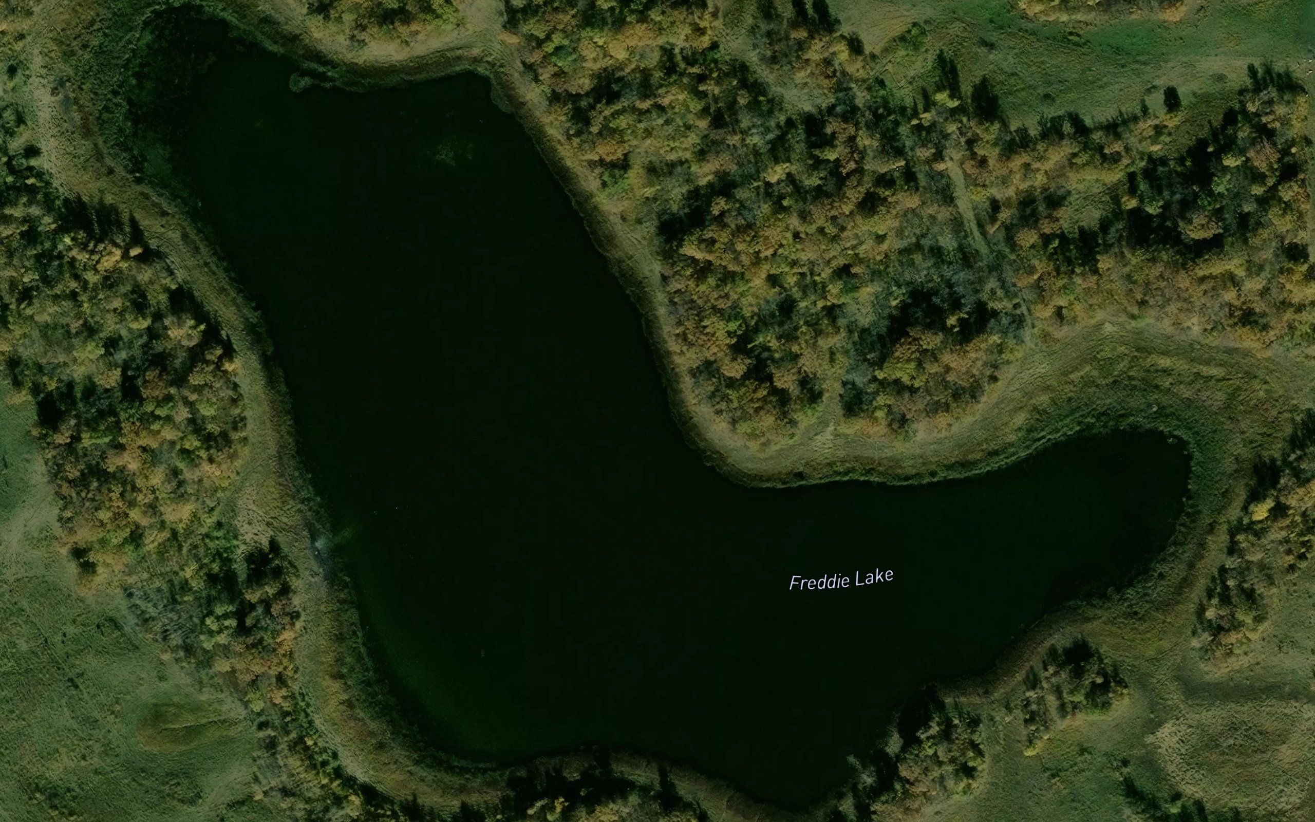Freddie Lake