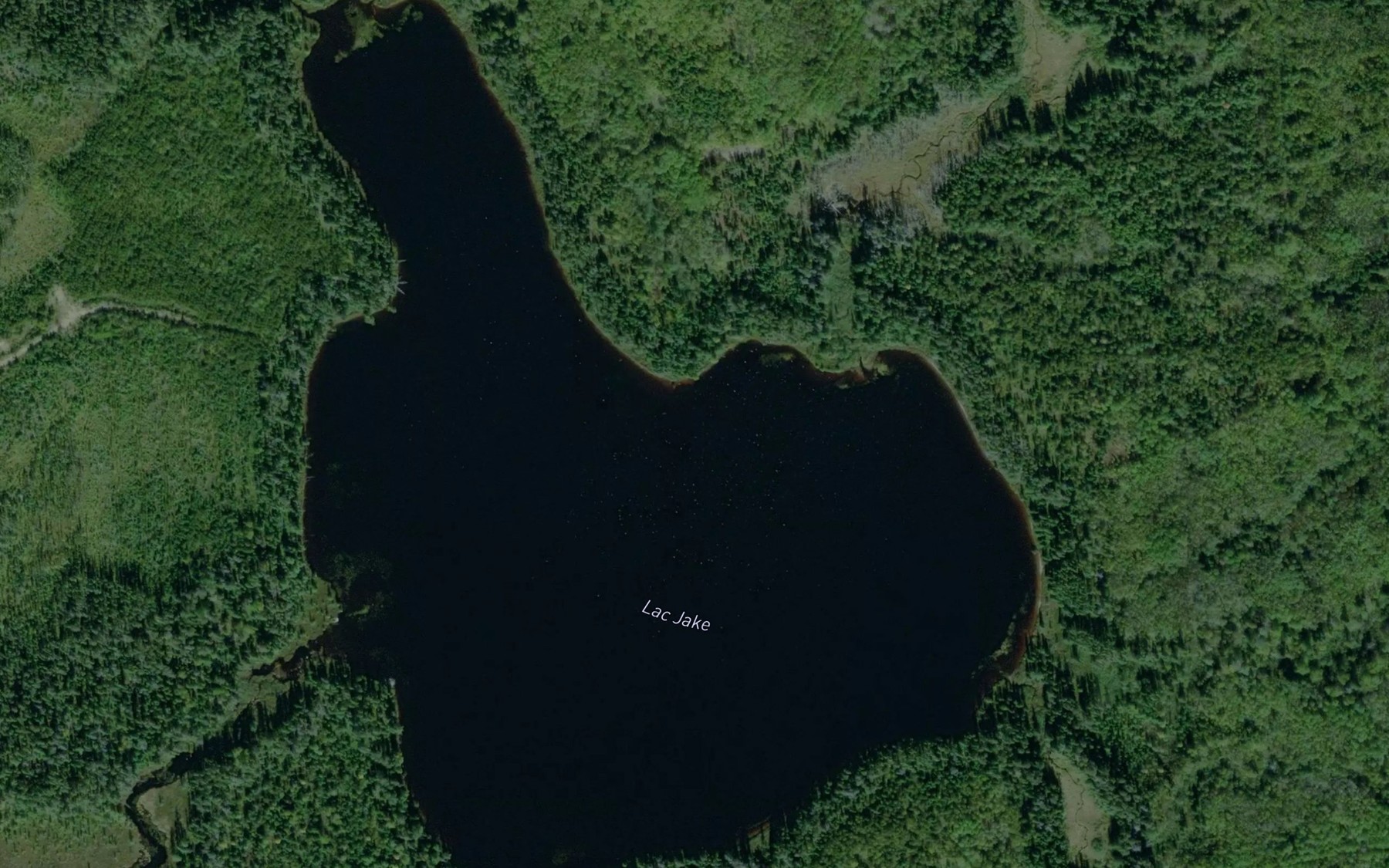 Satellite map of the Lac Jake