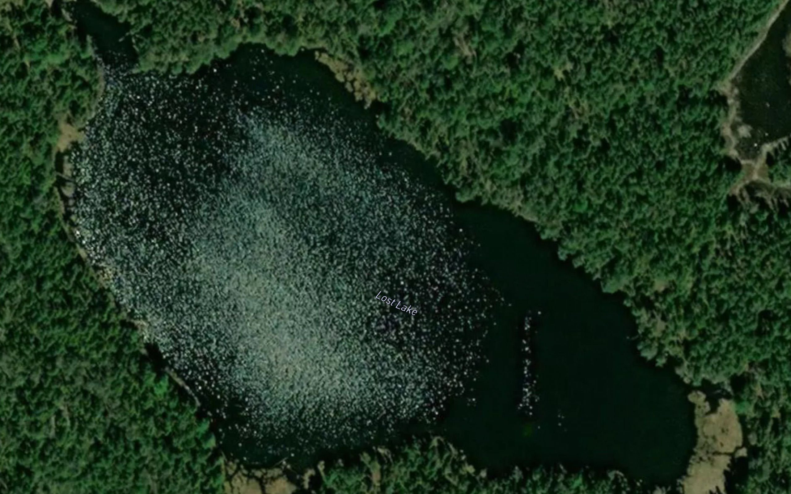 Lost Lake