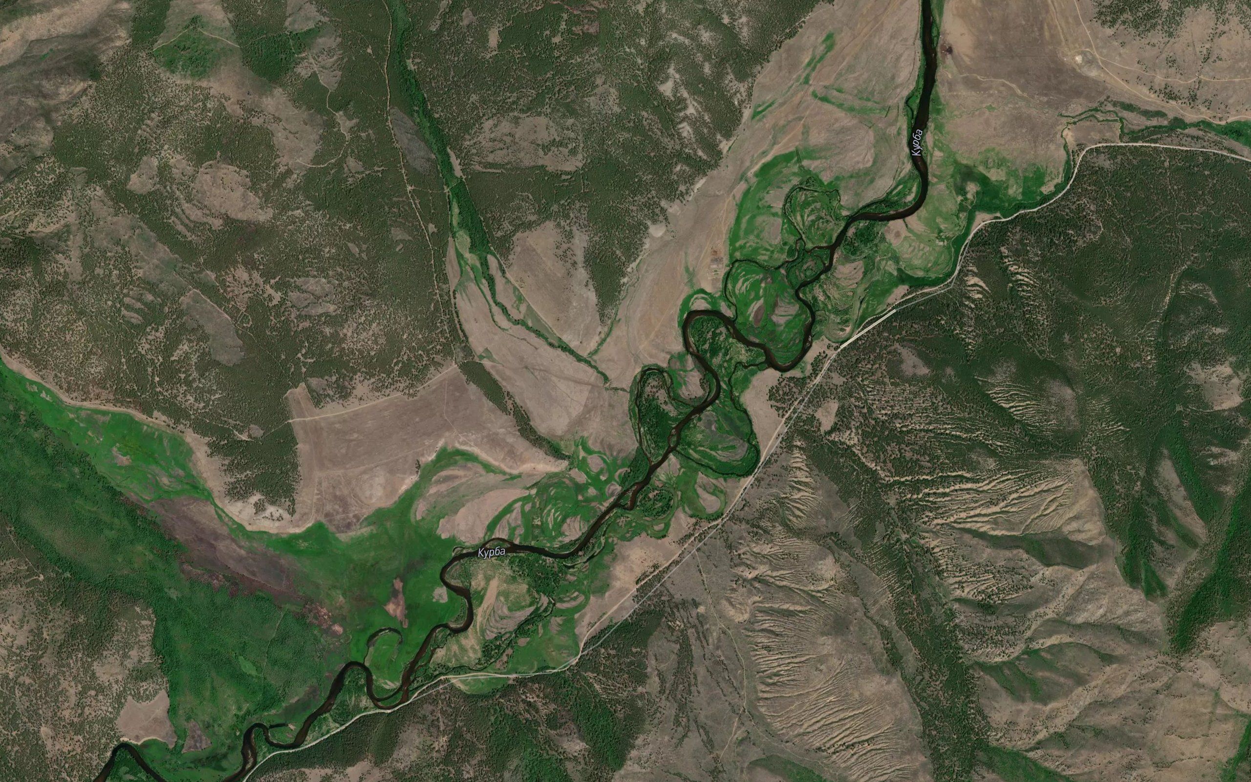Gorkhon
