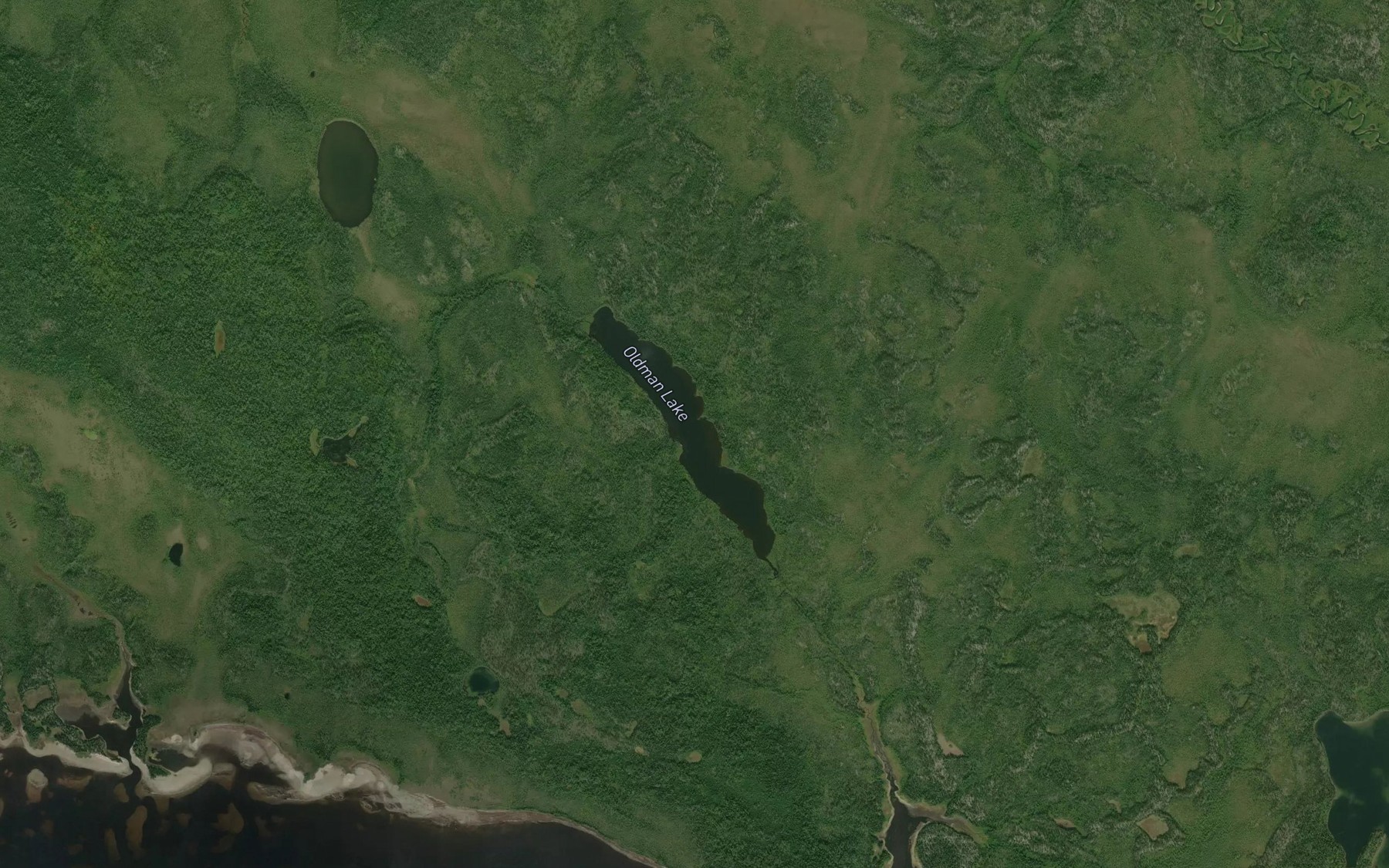 Satellite map of the Oldman Lake