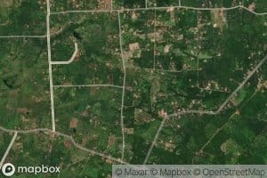 Kivula Wewa Number Eight