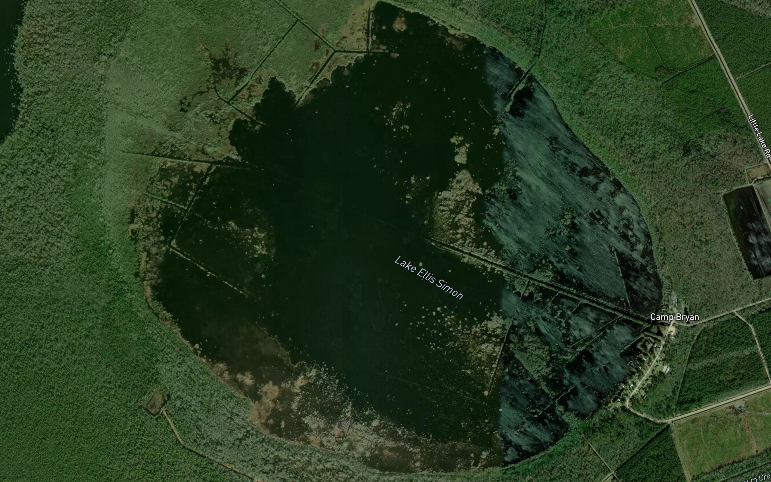 Lake Ellis Simon