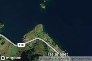 Langenesvika