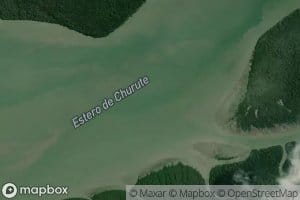 Estero Churute
