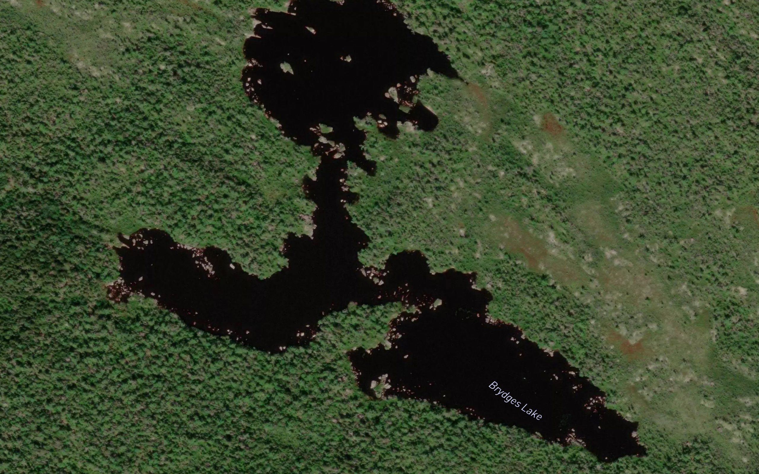 Brydges Lake