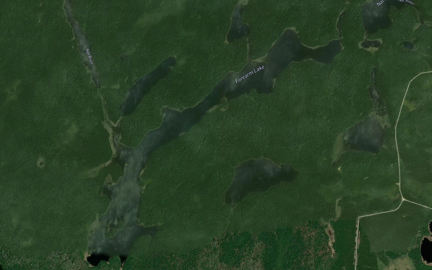 Satellite map of the Forearm Lake