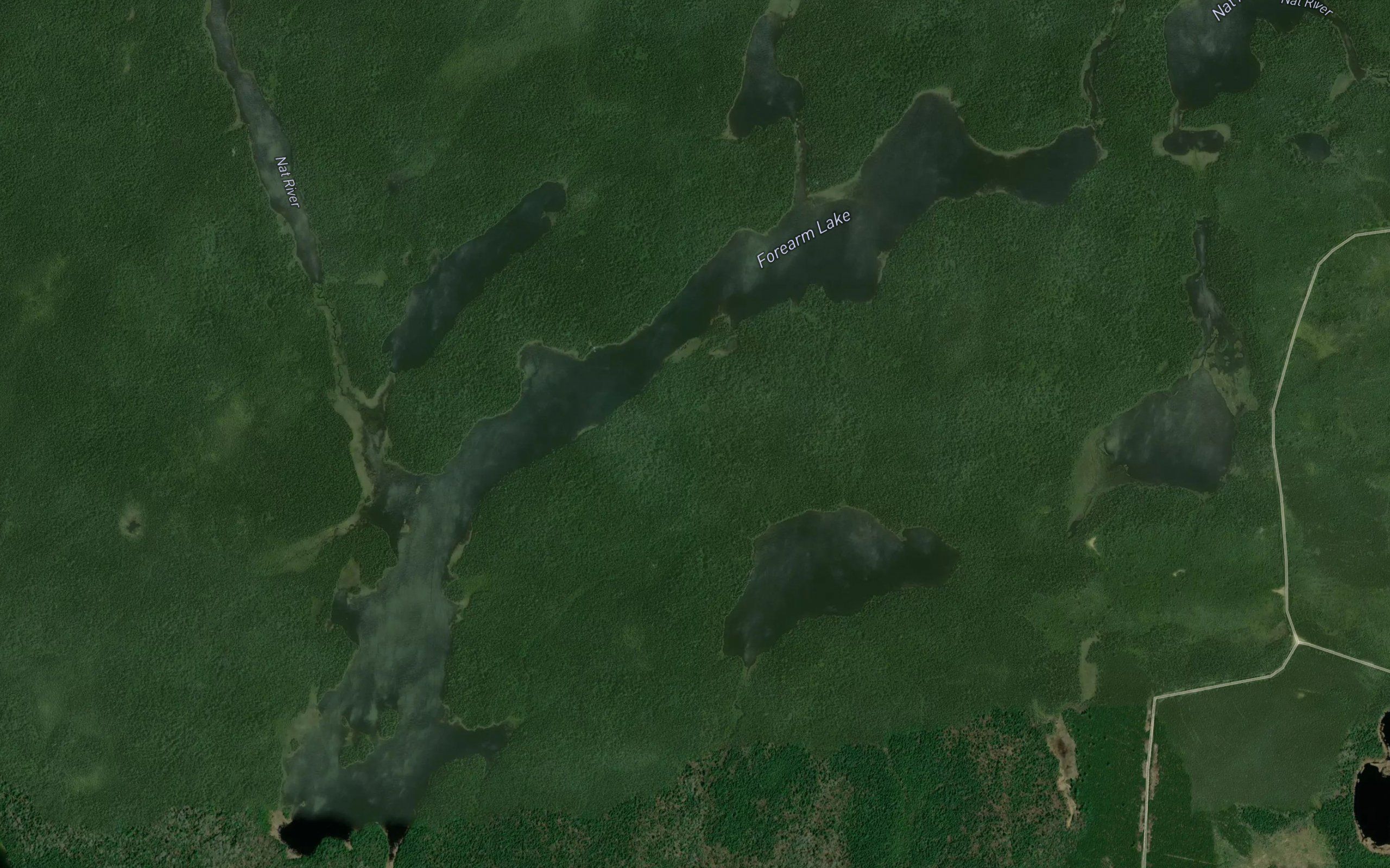Forearm Lake