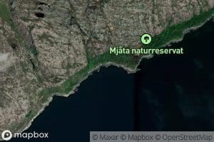 Mjatevika