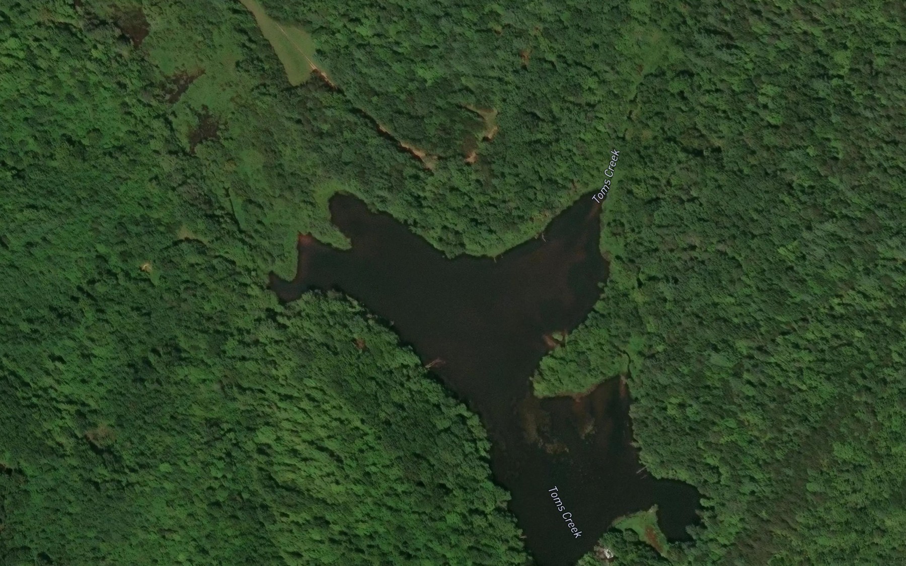 Satellite map of the Morgan Lake