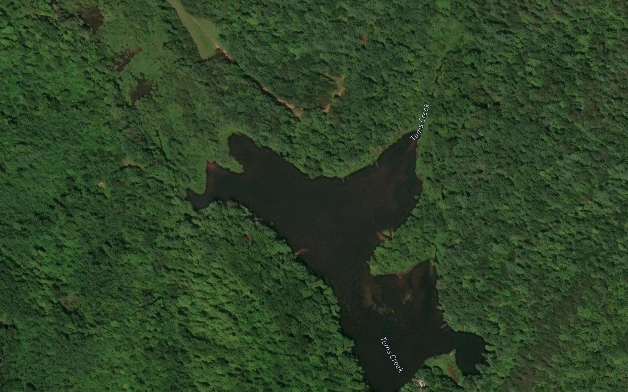Morgan Lake
