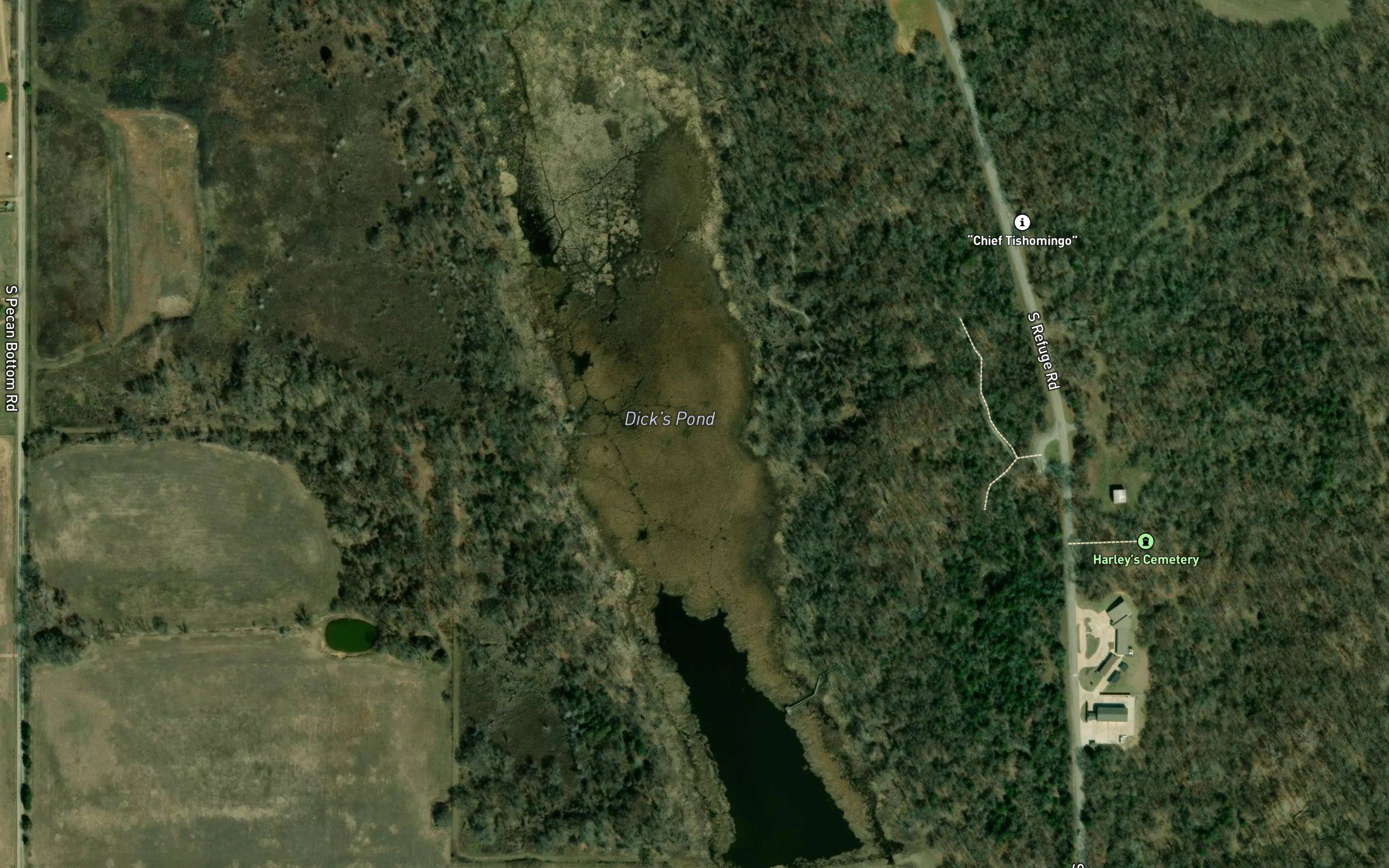 Dicks Pond