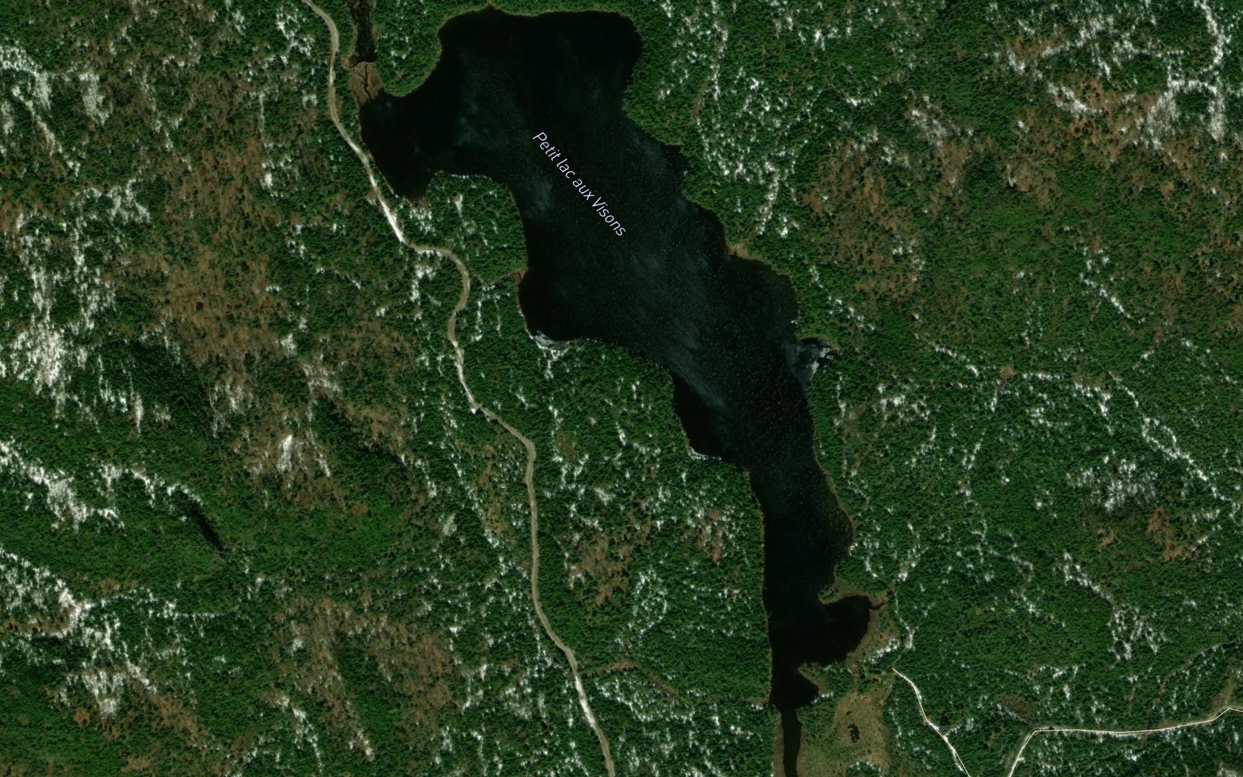 Satellite map of the Petit lac aux Visons