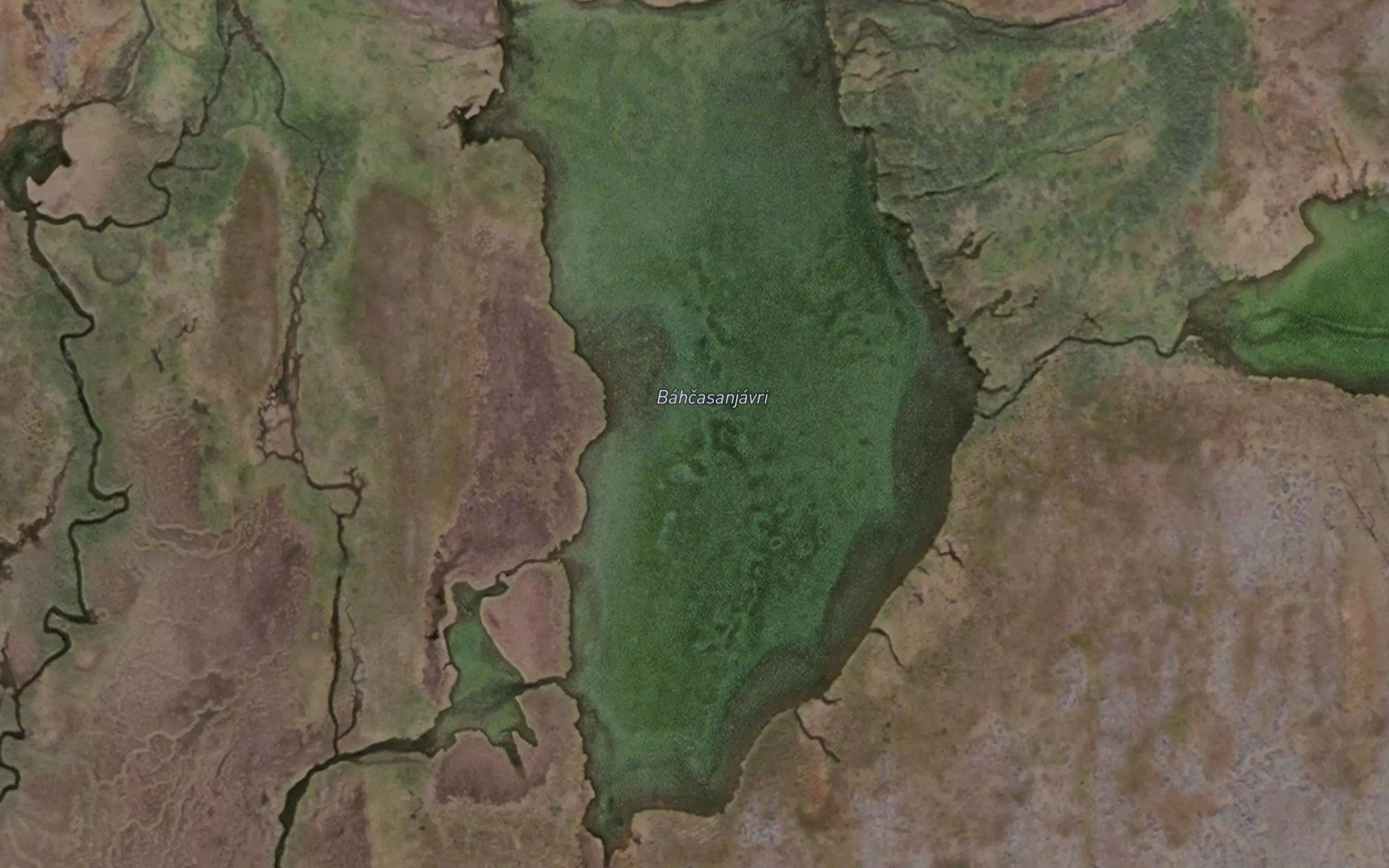 Baccasanjavri
