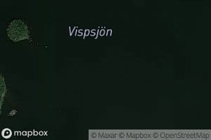 Vispsjon