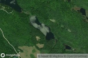 Lac Bass