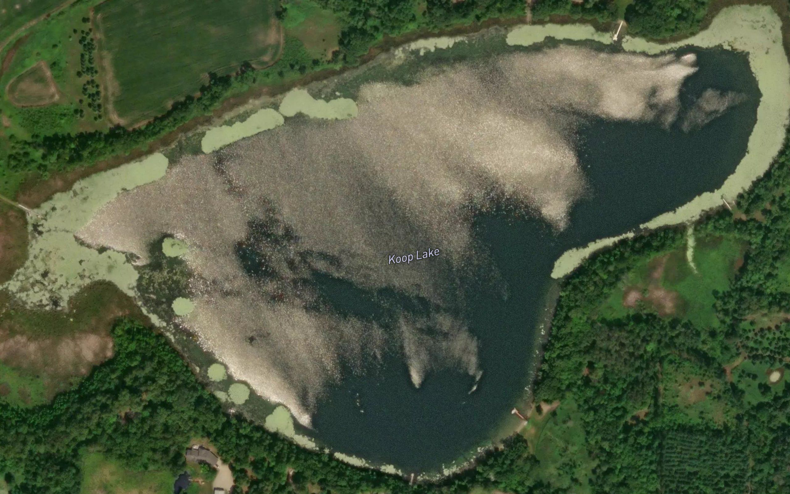 Koop Lake