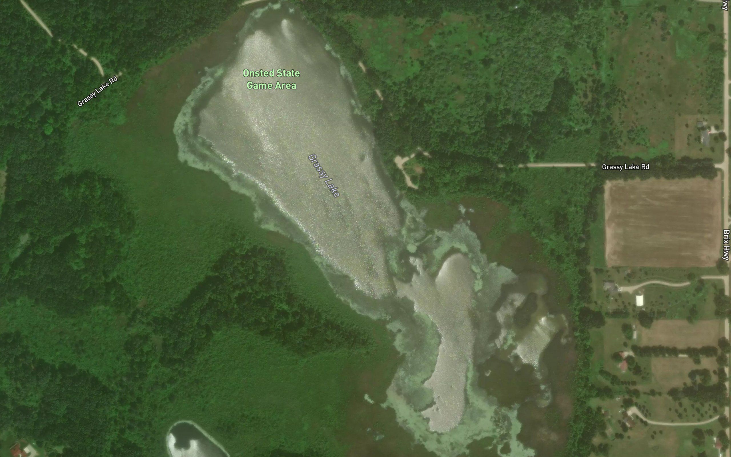 Grassy Lake
