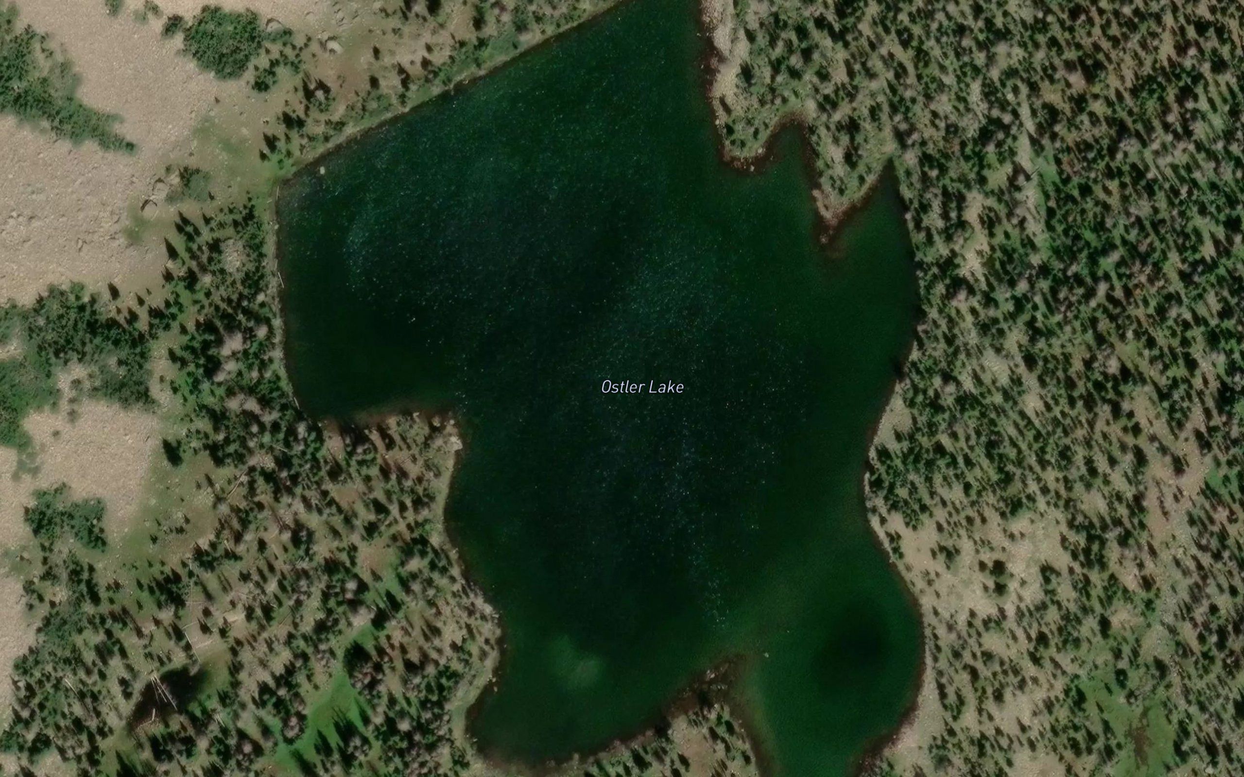 Ostler Lake