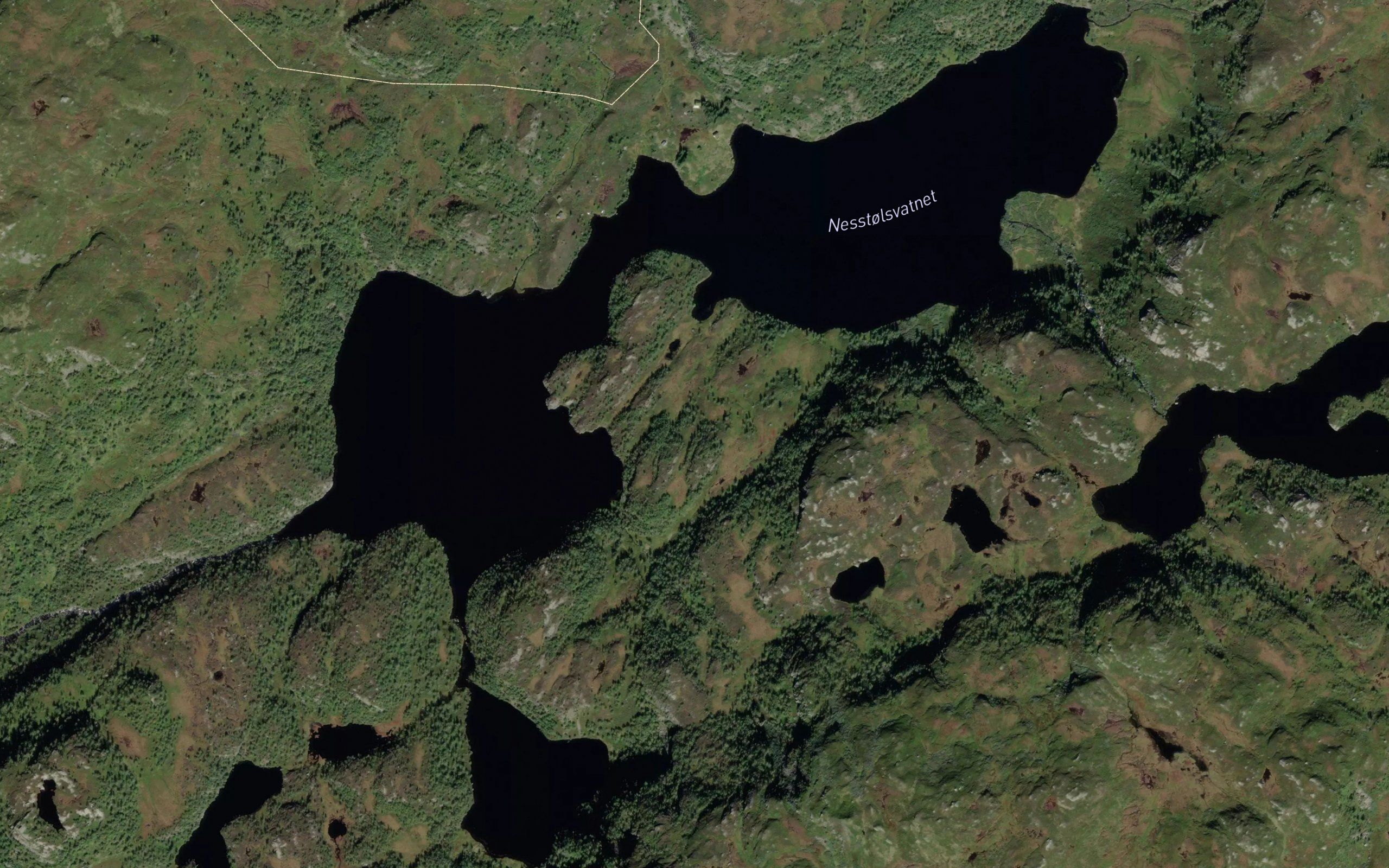 Vassbotnen