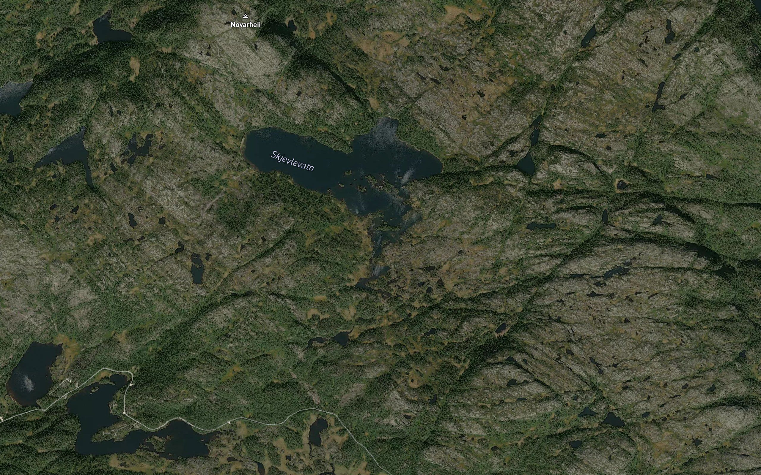 Skjevletjornin