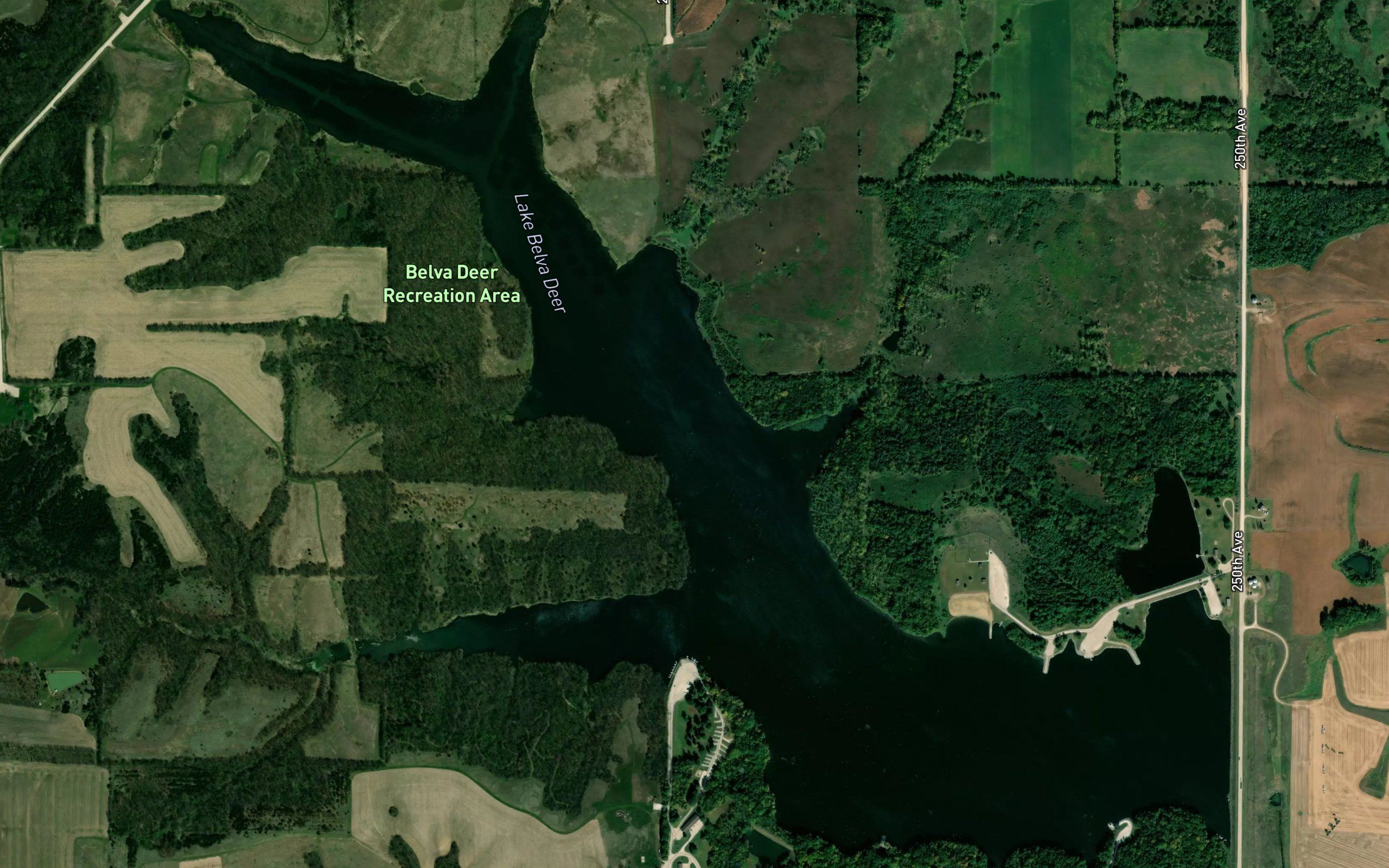 Lake Belva Deer