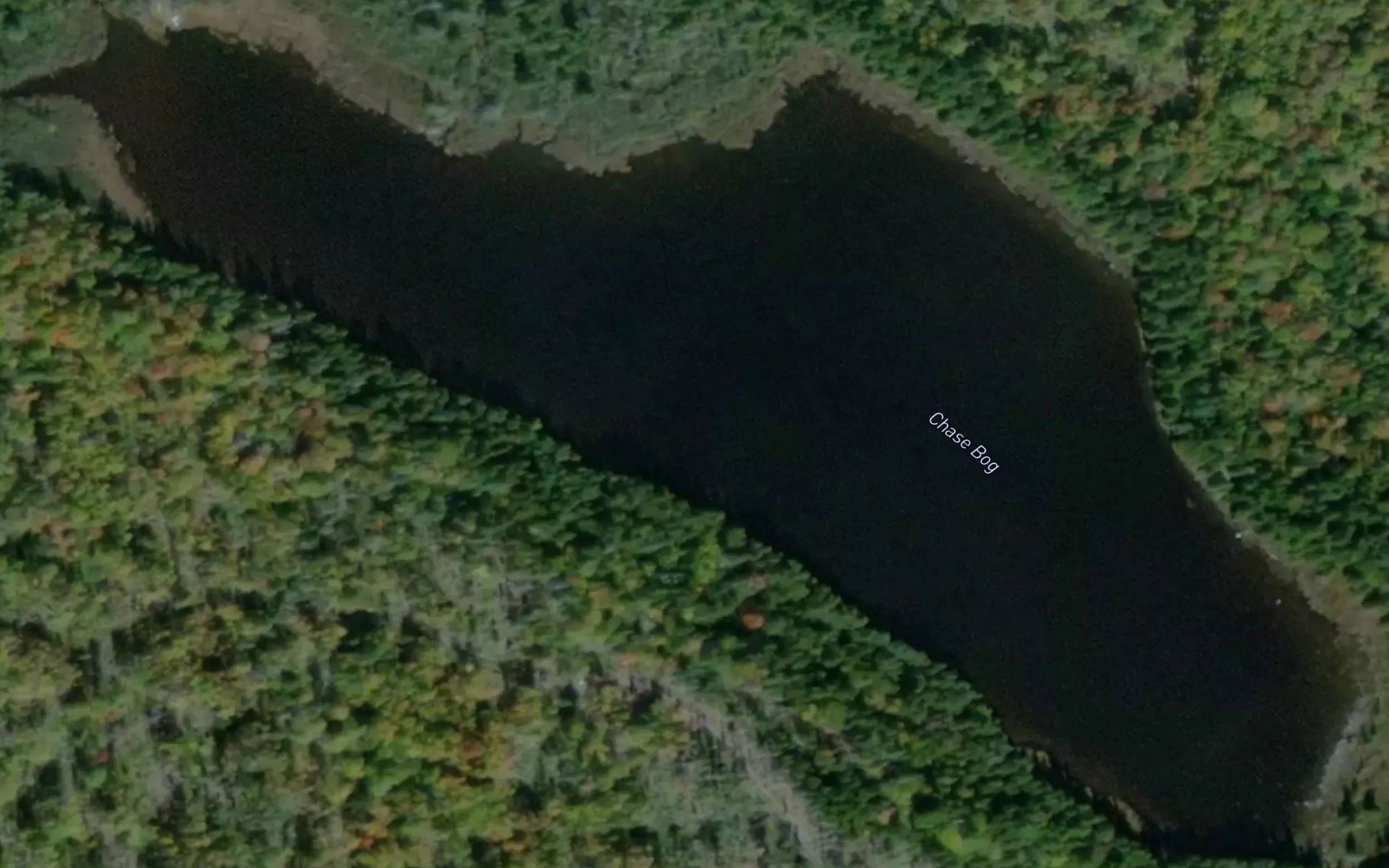 Chase Bog