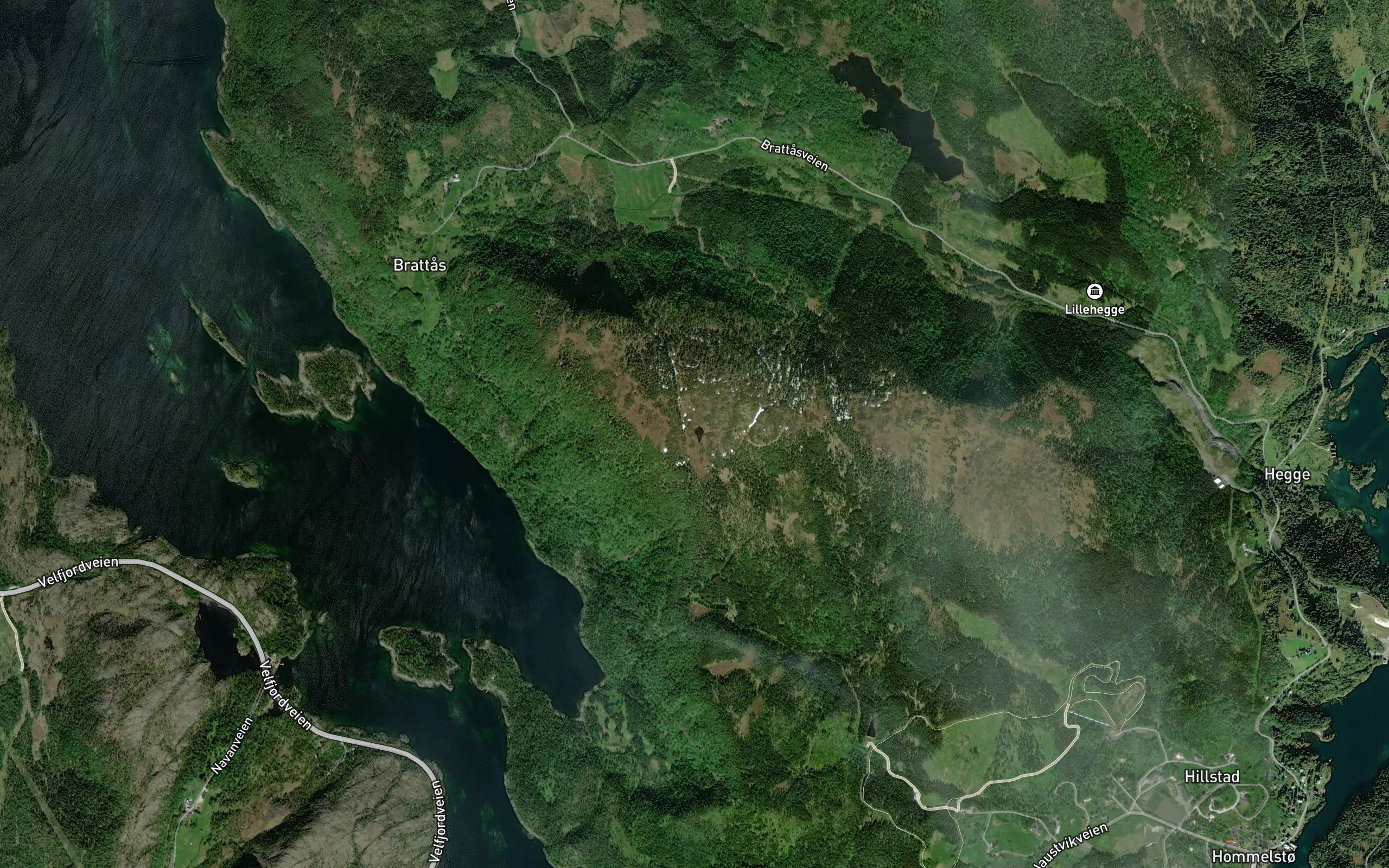 Vardtjorna