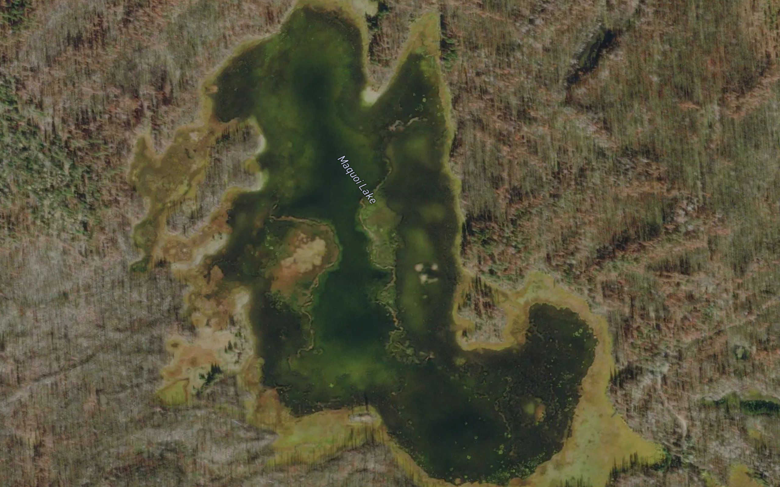 Maquoi Lake