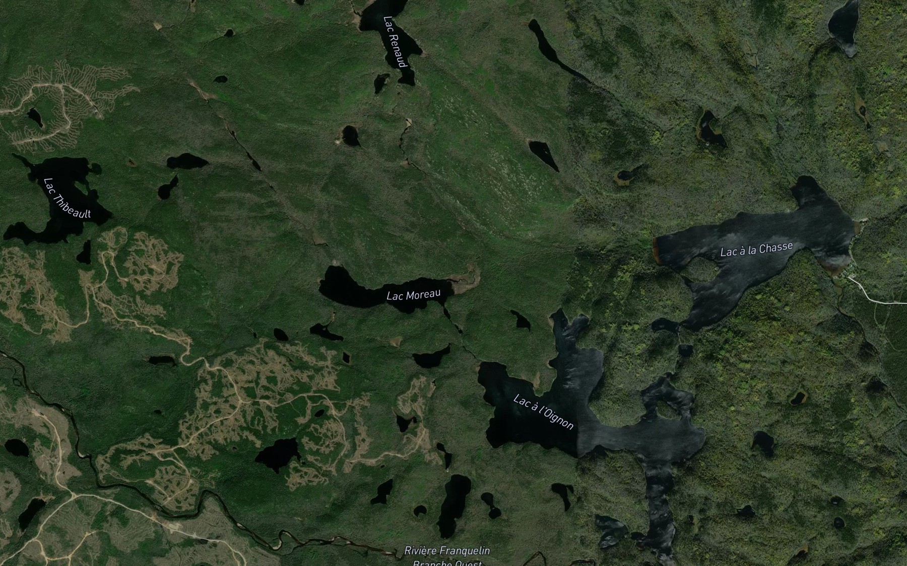 Satellite map of the Crique Renaud