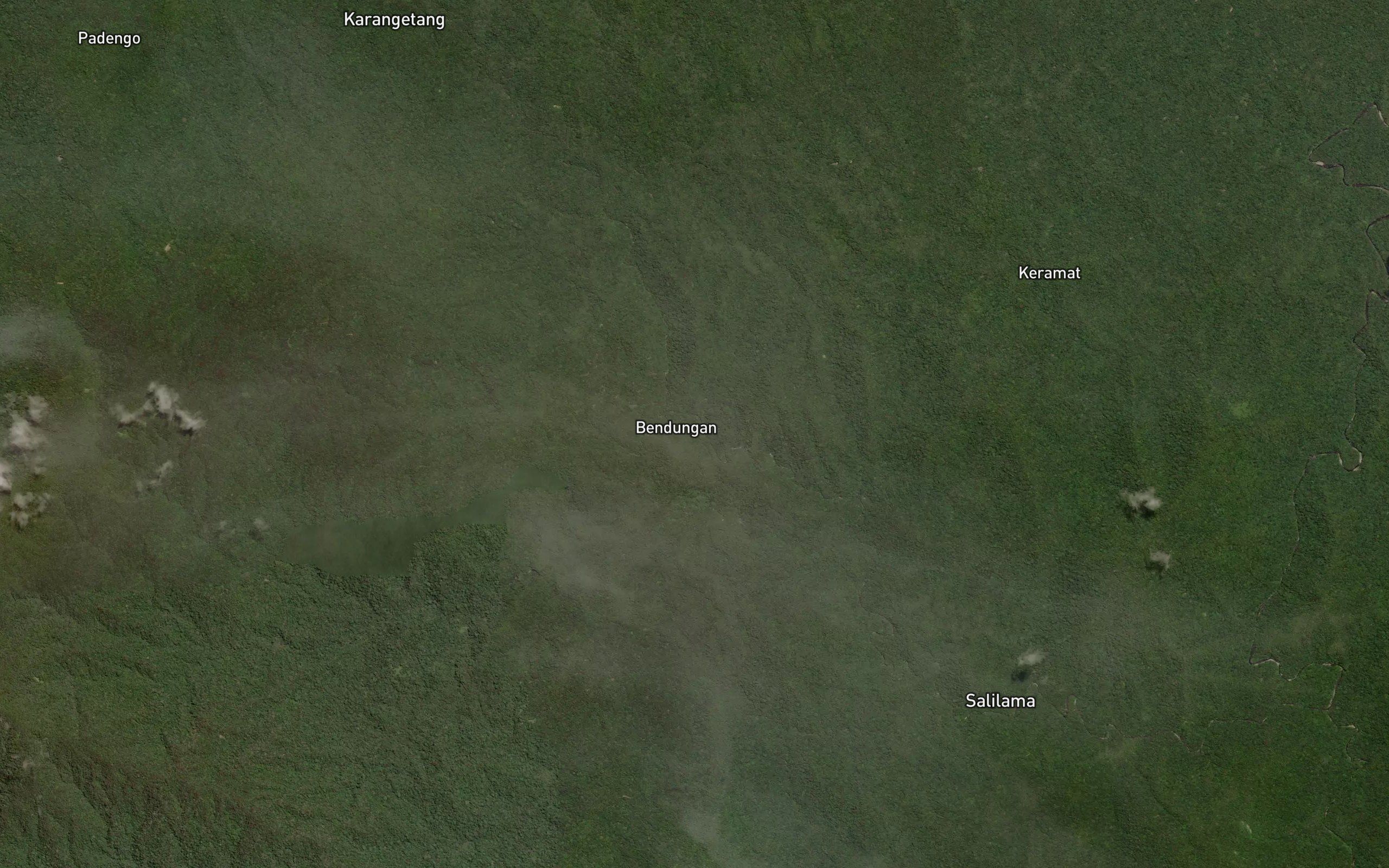 Dutula Punjuru