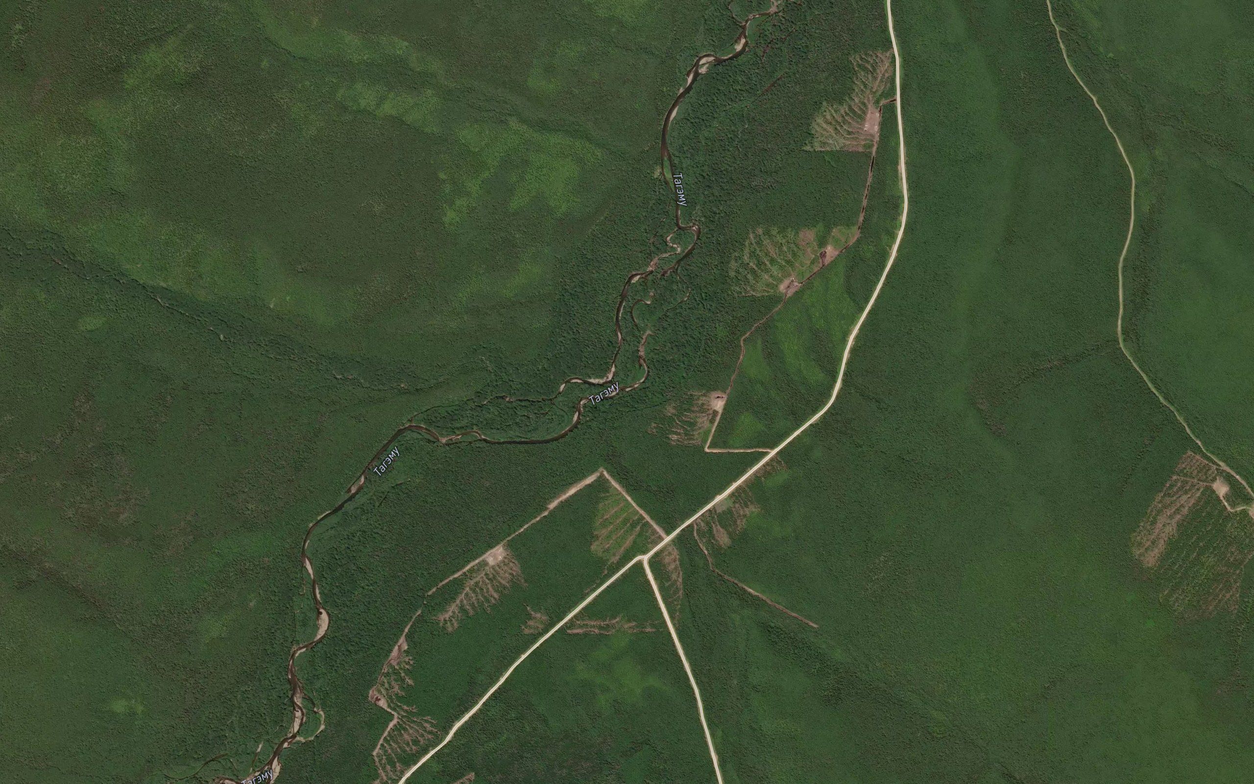 Bogoni