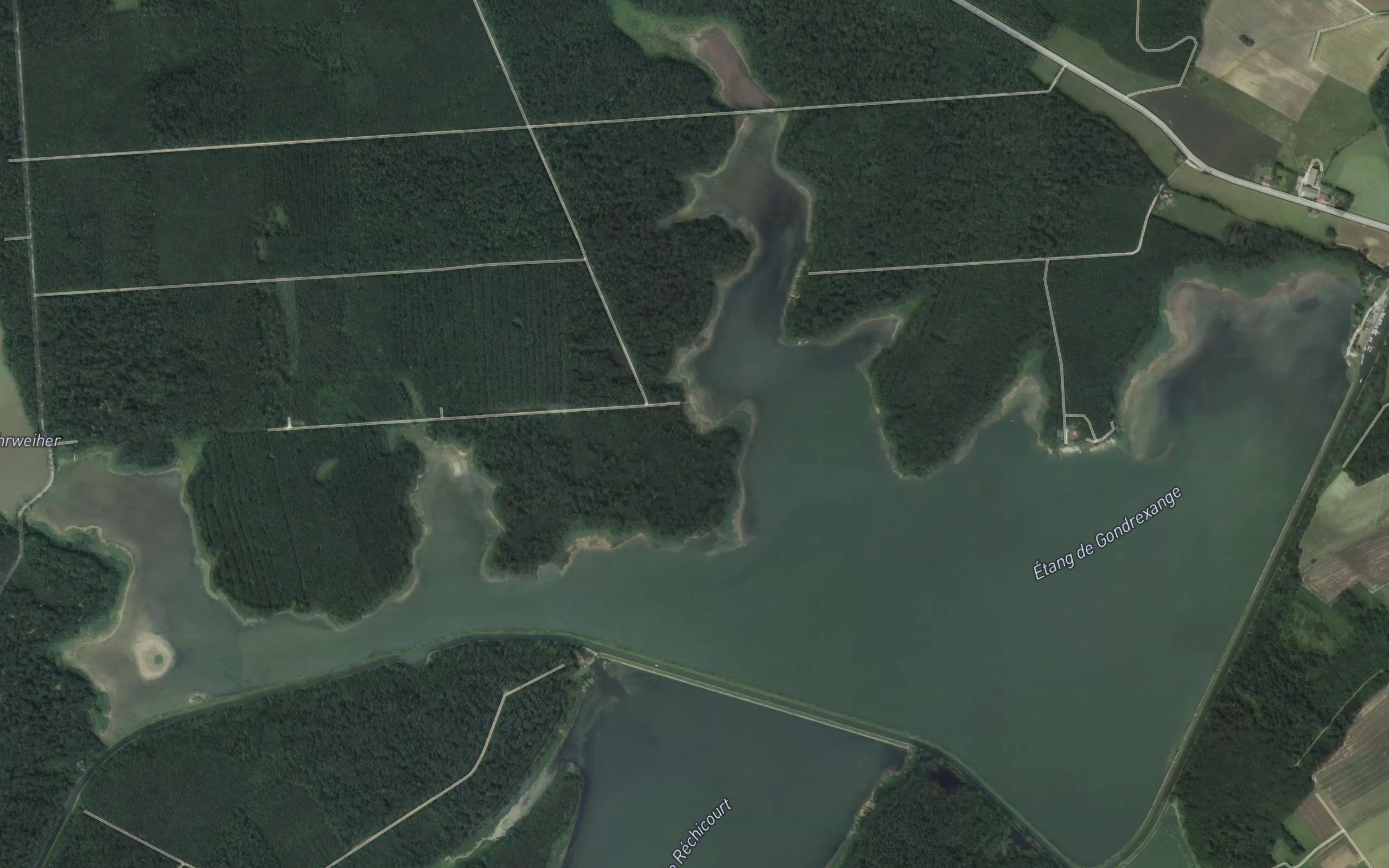 Etang de Gondrexange