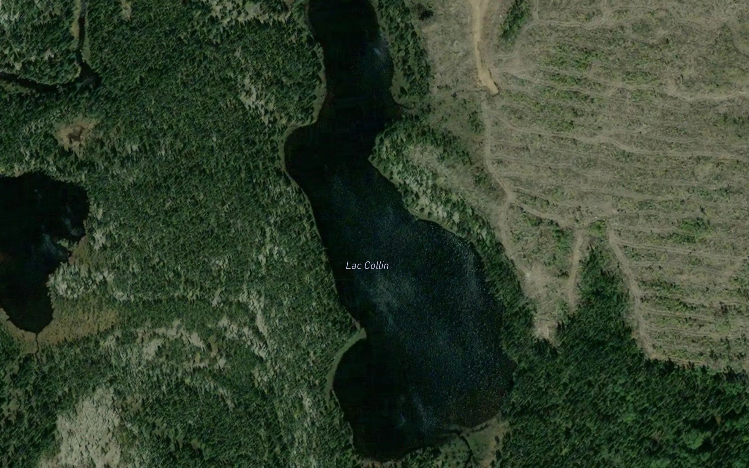 Lac Collin