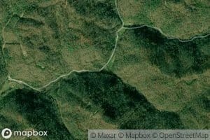 Mare Branch