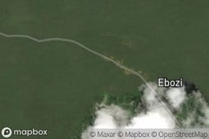 Bibomo