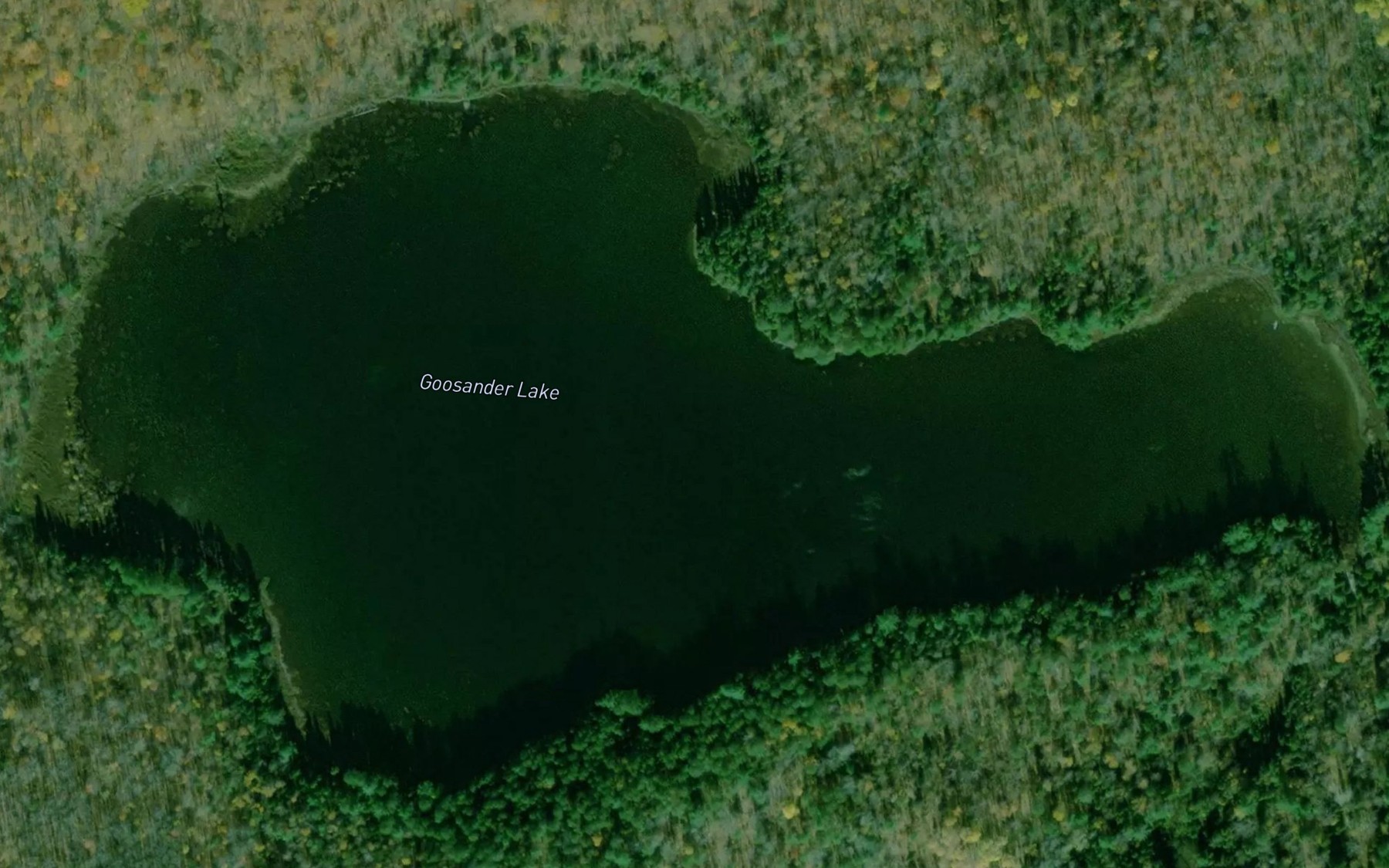 Satellite map of the Goosander Lake