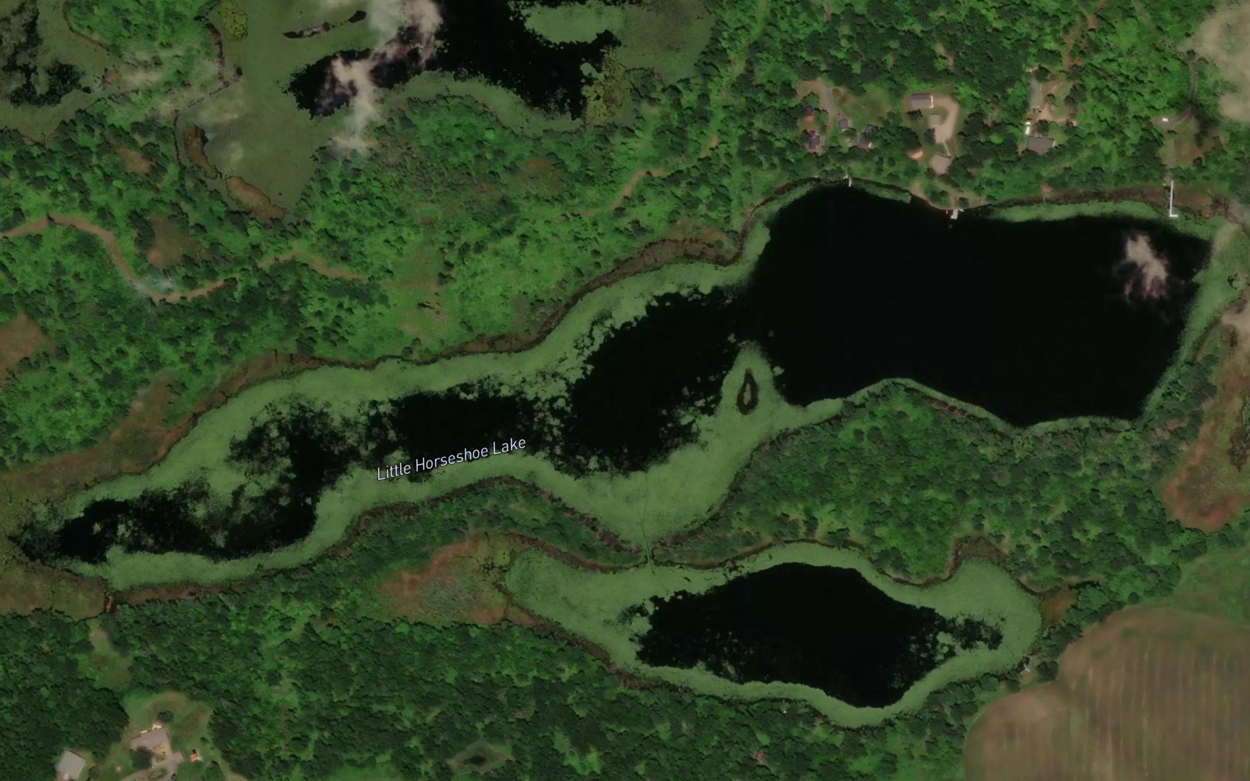 Satellite map of the Little Horseshoe Lake
