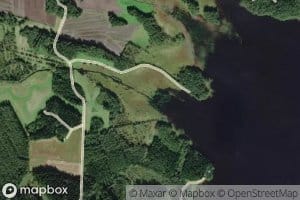 Heinalamminoja