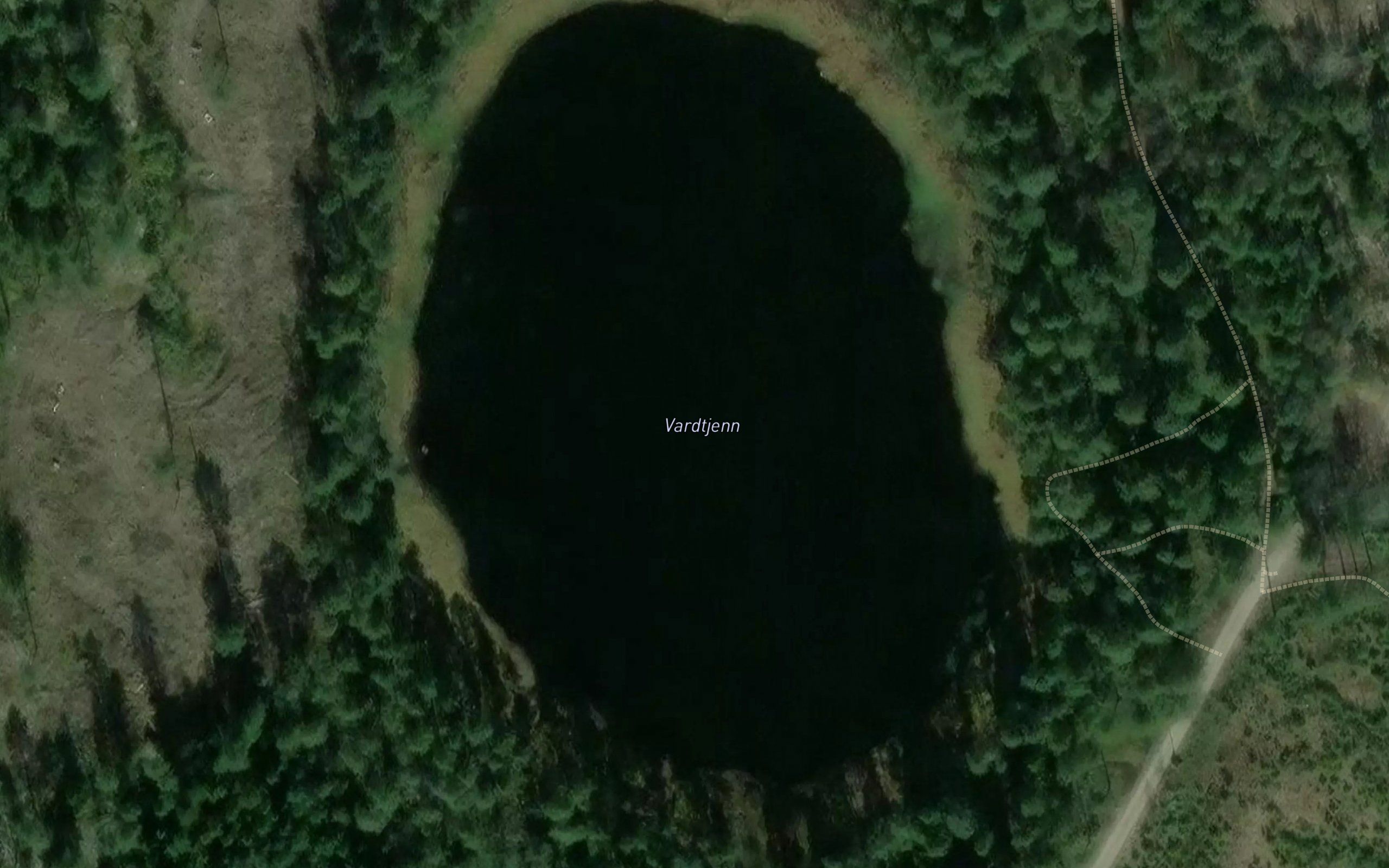 Vardtjern